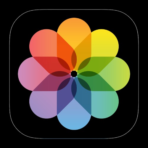 Download / View